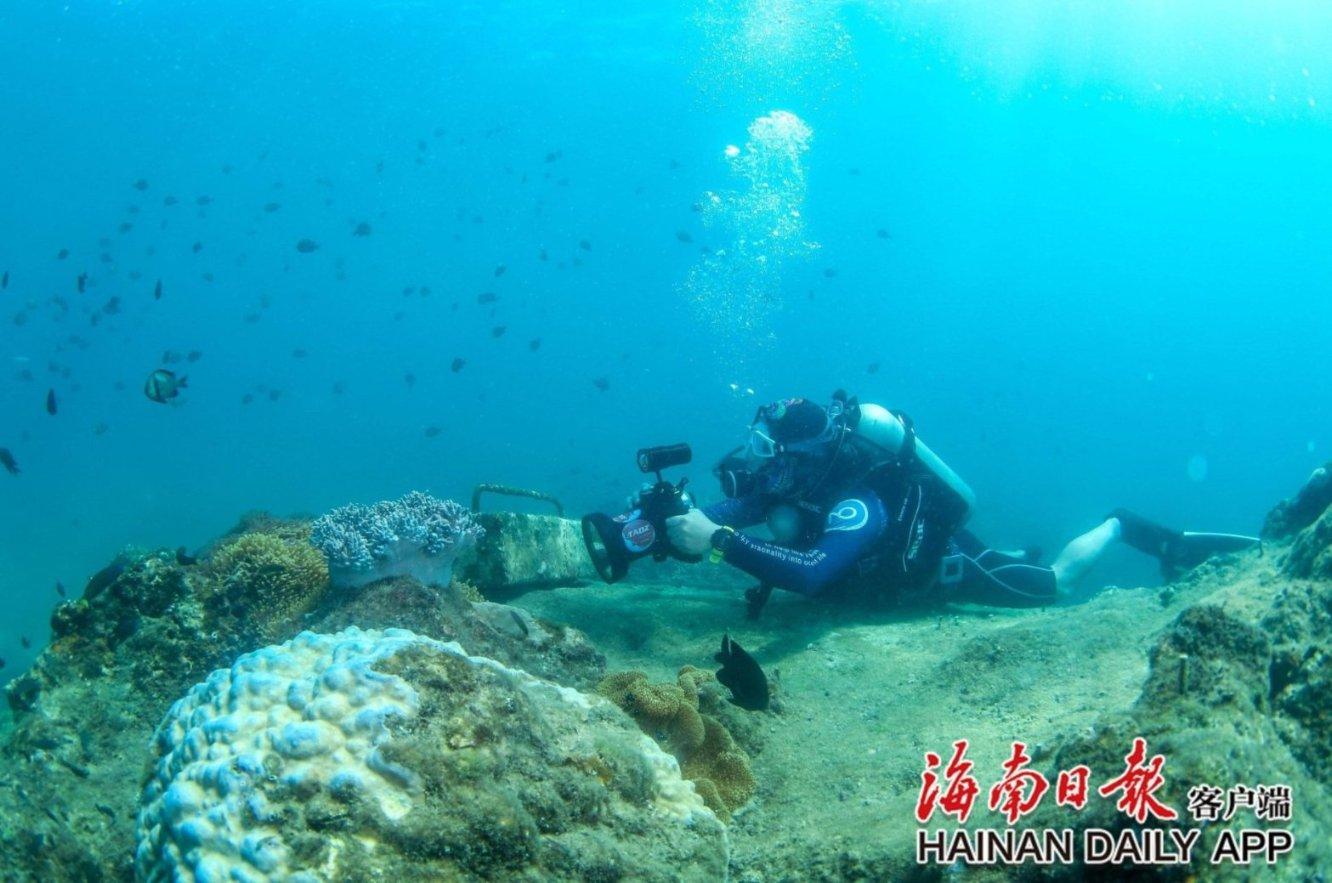 迷路的可爱女宝宝