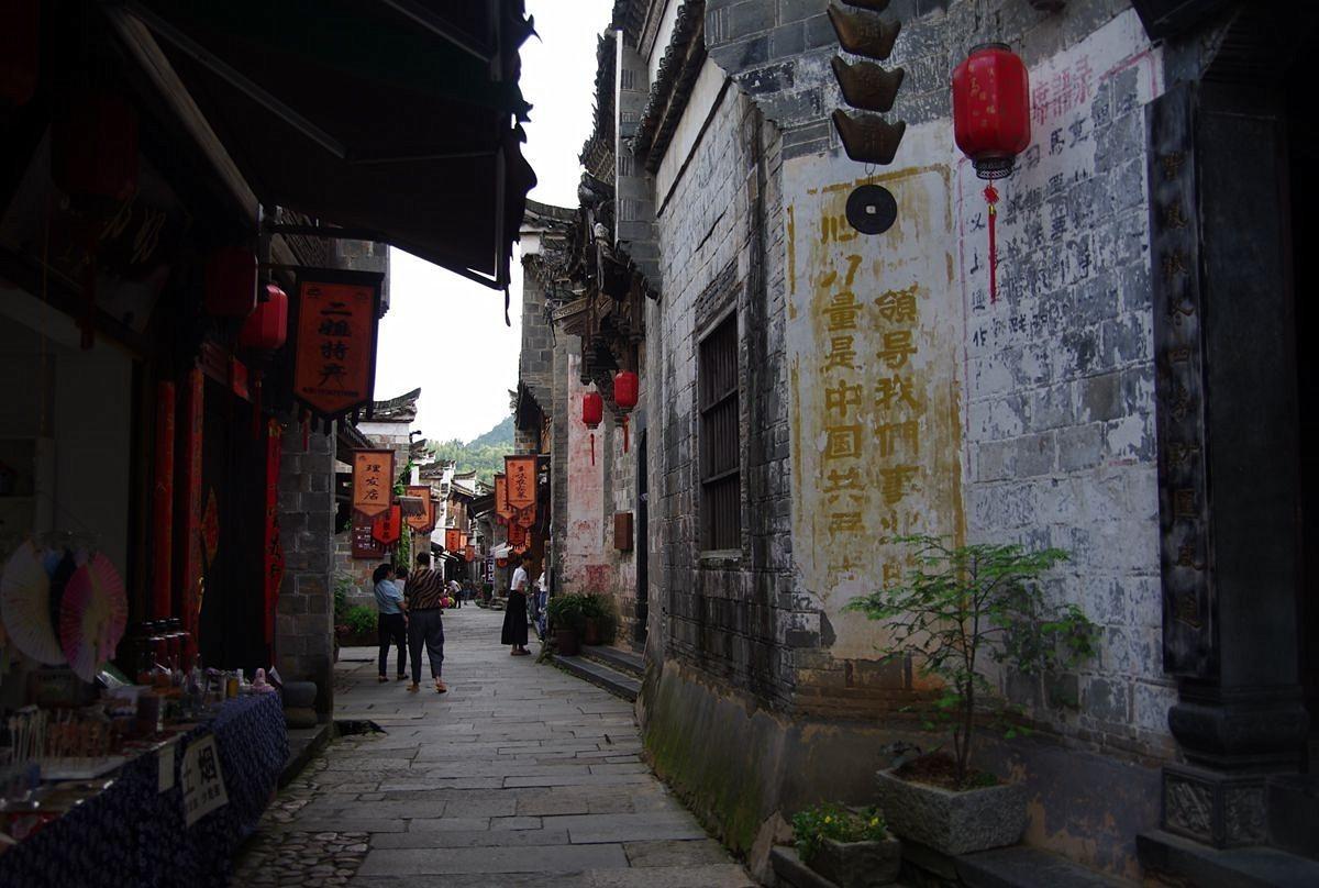 淘气兔救援